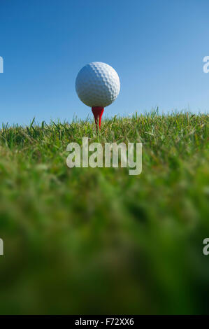 Nahaufnahme des Golfballs auf einem roten t-Shirt. Stockfoto