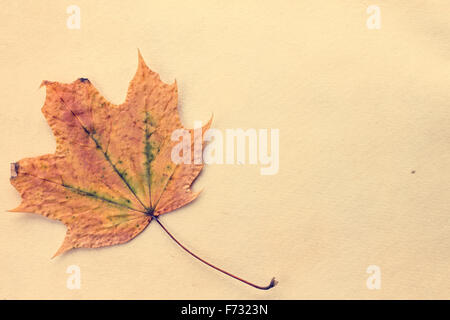 Herbstliche Blätter auf alten Papierstruktur. Getönten Foto, Retro-Farben-Effekt Stockfoto