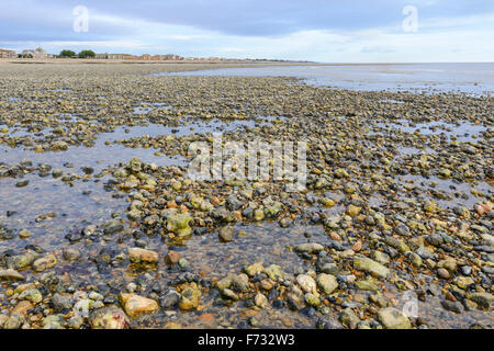 Einsame Strand bei Ebbe in Großbritannien. Stockfoto