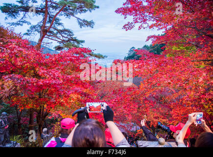 Herbst Farben, Oyama-Dera Tempel, Mt Oyama, Isehara City, Präfektur Kanagawa, Japan Stockfoto