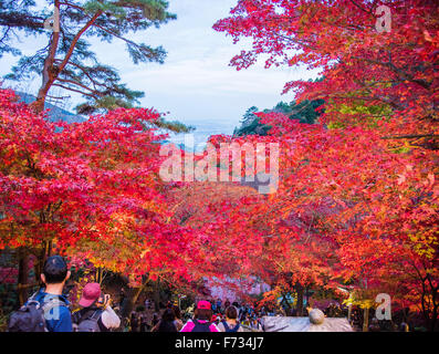 Herbst Farben, Oyama-Dera Tempel, Mt Oyama, Isehara City, Präfektur Kanagawa, Japan Stockfoto