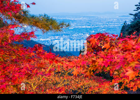 Herbst Farben, Oyama-Dera Tempel, Mt Oyama, Isehara City, Präfektur Kanagawa, Japan Stockfoto