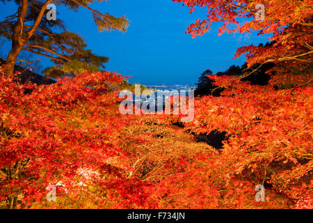 Herbst Farben, Oyama-Dera Tempel, Mt Oyama, Isehara City, Präfektur Kanagawa, Japan Stockfoto