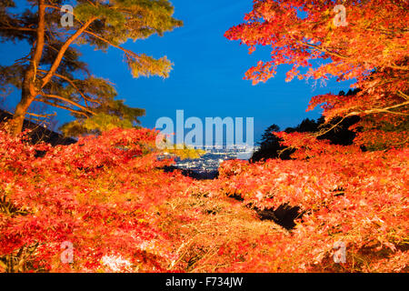 Herbst Farben, Oyama-Dera Tempel, Mt Oyama, Isehara City, Präfektur Kanagawa, Japan Stockfoto