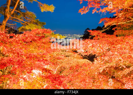 Herbst Farben, Oyama-Dera Tempel, Mt Oyama, Isehara City, Präfektur Kanagawa, Japan Stockfoto