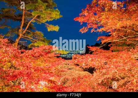 Herbst Farben, Oyama-Dera Tempel, Mt Oyama, Isehara City, Präfektur Kanagawa, Japan Stockfoto