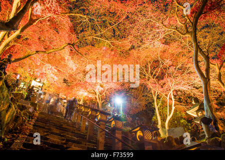 Herbst Farben, Oyama-Dera Tempel, Mt Oyama, Isehara City, Präfektur Kanagawa, Japan Stockfoto