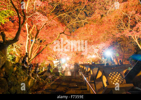 Herbst Farben, Oyama-Dera Tempel, Mt Oyama, Isehara City, Präfektur Kanagawa, Japan Stockfoto