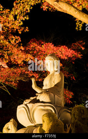 Herbst Farben, Oyama-Dera Tempel, Mt Oyama, Isehara City, Präfektur Kanagawa, Japan Stockfoto