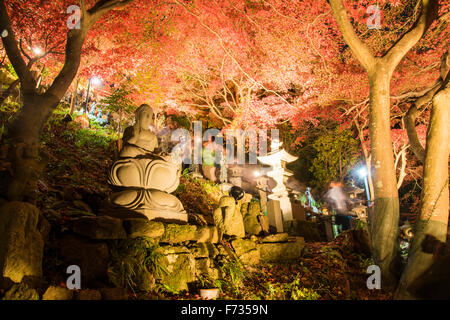 Herbst Farben, Oyama-Dera Tempel, Mt Oyama, Isehara City, Präfektur Kanagawa, Japan Stockfoto