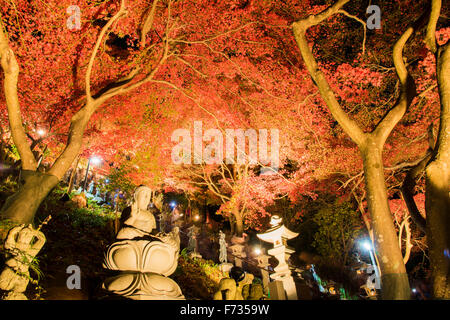 Herbst Farben, Oyama-Dera Tempel, Mt Oyama, Isehara City, Präfektur Kanagawa, Japan Stockfoto