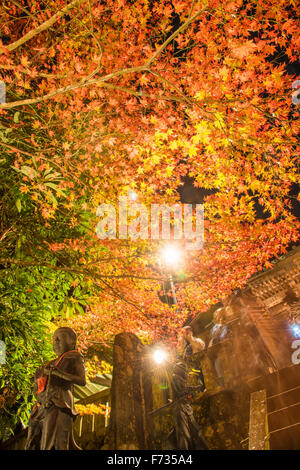 Herbst Farben, Oyama-Dera Tempel, Mt Oyama, Isehara City, Präfektur Kanagawa, Japan Stockfoto