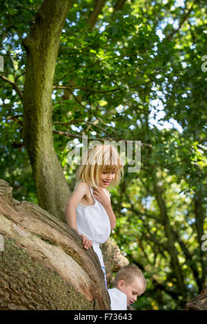 Jungen und Mädchen, die einen Baum in einem Wald klettern. Stockfoto