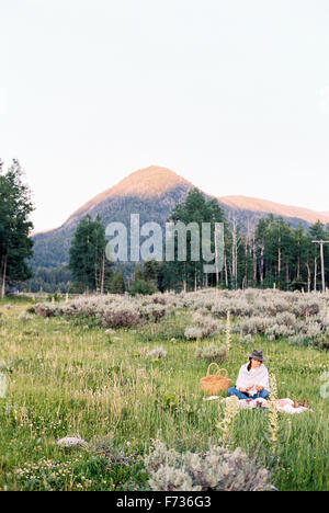 Frau mit einem Picknick auf einer Wiese, Berge in der Ferne. Stockfoto