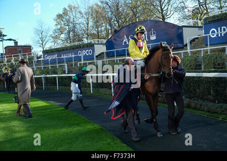 Ascot Renntag, 21. November 2016. Stockfoto