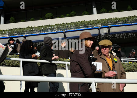 Racegoers bei Ascot Renntag, 21. November 2016. Stockfoto