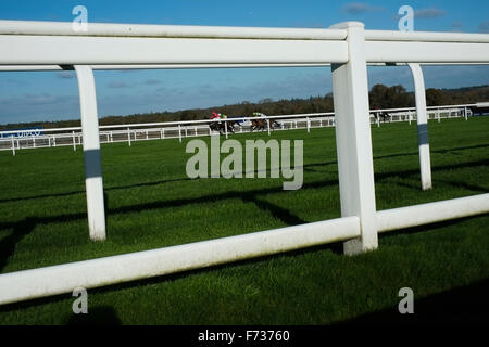 Ascot Renntag, 21. November 2016. Stockfoto