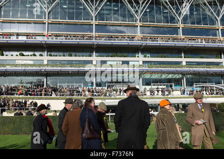 Ascot Renntag, 21. November 2016. Rennpferd Eigentümer in den Parade-Ring vor dem Rennen. Stockfoto