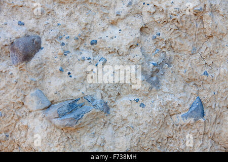 Nahaufnahme aus sedimentären Sandsteinfelsen, Erdpyramiden / Hoodoos im Bow Valley, Banff Nationalpark, Alberta, Kanada Stockfoto