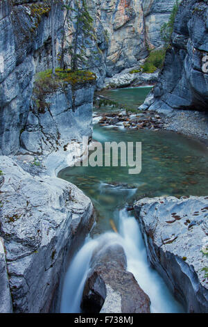 Creek in den Maligne Canyon, Jasper Nationalpark, Alberta, Kanada, Kanada Stockfoto