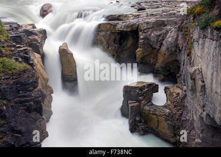 Sunwapta Falls, obere fällt des Athabasca River in der kanadischen Rocky Mountains, Jasper Nationalpark, Alberta Kanada Stockfoto