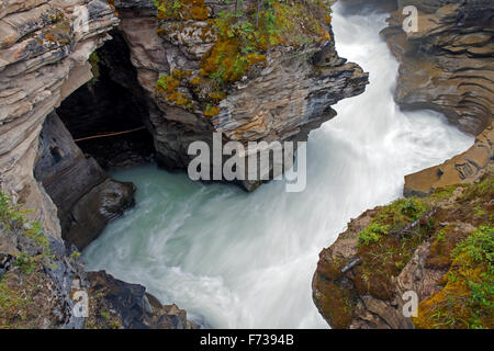 Athabasca Falls des Athabasca River in der kanadischen Rocky Mountains, Jasper Nationalpark, Alberta Kanada Stockfoto