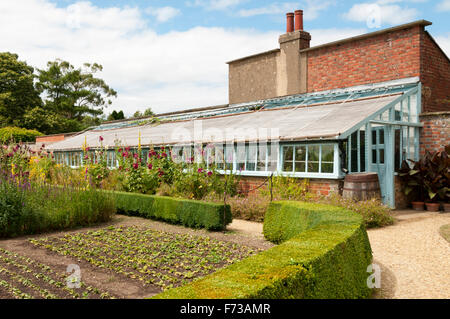 Gewächshaus bei Down House in Kent, die Heimat von Charles Darwin und arbeitete er an seinem Buch On the Origin of Species. Stockfoto