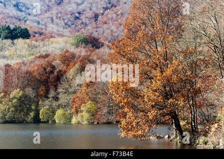 Santa Fe del Montseny. Parc Natural del Montseny. Stockfoto