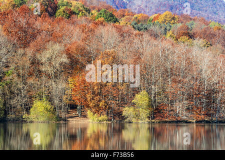 Santa Fe del Montseny. Parc Natural del Montseny. Stockfoto
