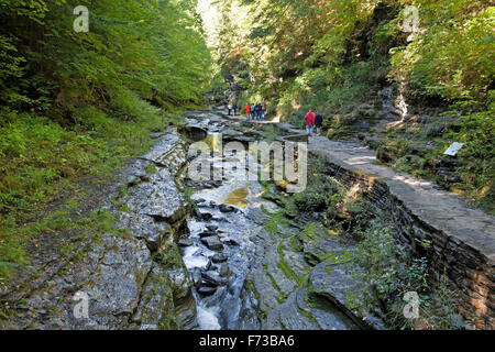 Watkins Glen State Park, New York State. Stockfoto