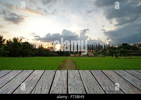 Holzboden mit Reis im Reisfeld Hintergrund Stockfoto