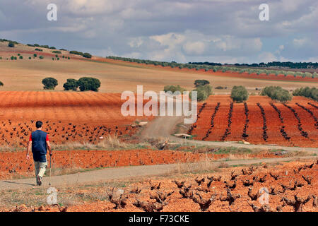 Route des Don Quijote von Valdepeñas ToTorrenueva. Kastilien-La Mancha, Spanien Stockfoto