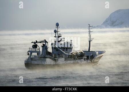 Fischer in der Barents SeaBarents See in der Eiszeit Ozean der Arktis. Norwegen Stockfoto