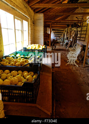 Berrington Hall ist ein Landhaus befindet sich etwa 3 Meilen nördlich von Leominster, Herefordshire, England, mit Gärten und Kostüme. Stockfoto