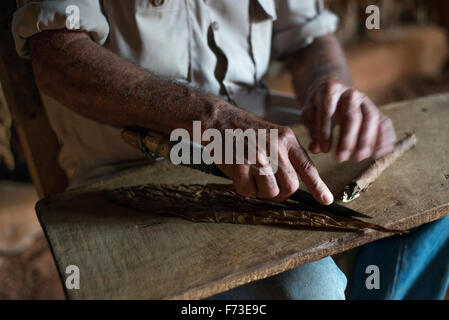 Eine Mann Hand rollt eine Zigarre in Viñales, Kuba. Stockfoto