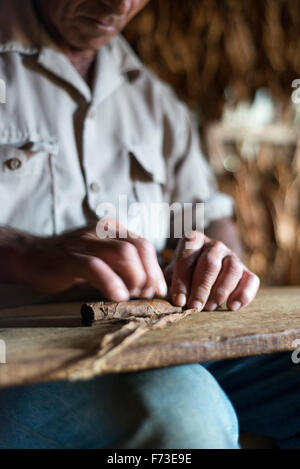 Eine Mann Hand rollt eine Zigarre in Viñales, Kuba. Stockfoto