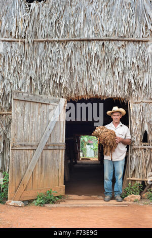 Ein Mann posiert für ein Porträt außerhalb einer Tabak-Scheune in Viñales, Kuba. Stockfoto