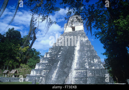 Tempel I (oder Tempel des großen Jaguar) in Tikal National Park, Guatemala. Stockfoto