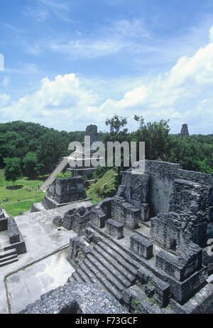 Blick von oben auf die Nord-Akropolis der Tempel II & III Tikal, Guatemala. Stockfoto