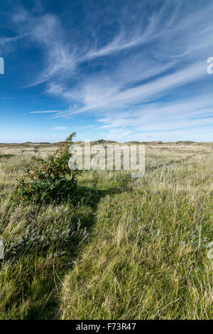 Aberffraw Sanddünen auf Anglesey North Wales Stockfoto