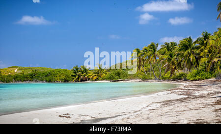 Tropisches Paradiesstrand auf der Isla Contoy Insel in Mexiko Stockfoto