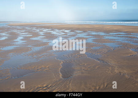 Wellige Sand und Meer Wasser am Strand bei Ebbe. Scremerston, Berwick nach Tweed, Northumberland, England. Stockfoto