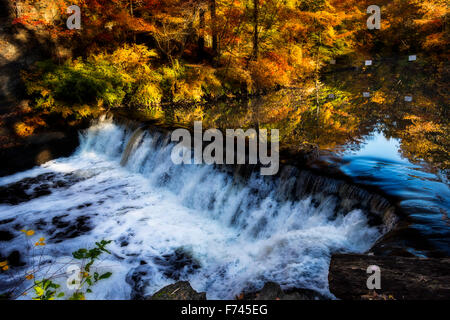 Bach und Wasserfall, umgeben von Bäumen im Herbstlaub. Stockfoto