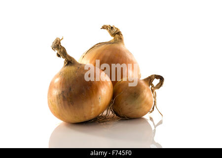 drei Zwiebeln isoliert auf weißem Hintergrund Stockfoto