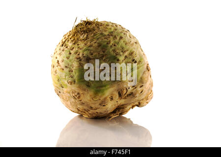 Einzelne Sellerie isoliert auf weißem Hintergrund Stockfoto