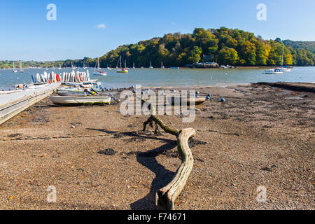 Dittisham auf dem Fluss Dart South Hams Devon England UK Europa Stockfoto