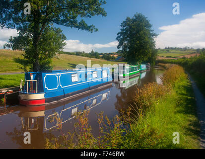 Narrowboats Monmouthshire & Brecon Canal Boote vertäut am Kanal bei Pencelli Powys Wales UK Stockfoto