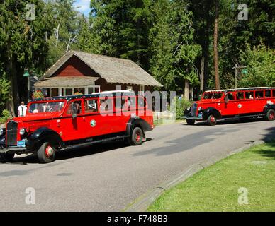 Die roten Busse der Jammer sind das ikonische Bild des Glacier National Park. Stockfoto