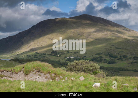 Landschaft in der Nähe von Molls Gap; Killarney National Park; County Kerry; Irland Stockfoto