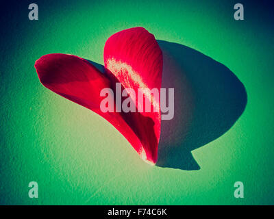 Herz-Blüte Stockfoto